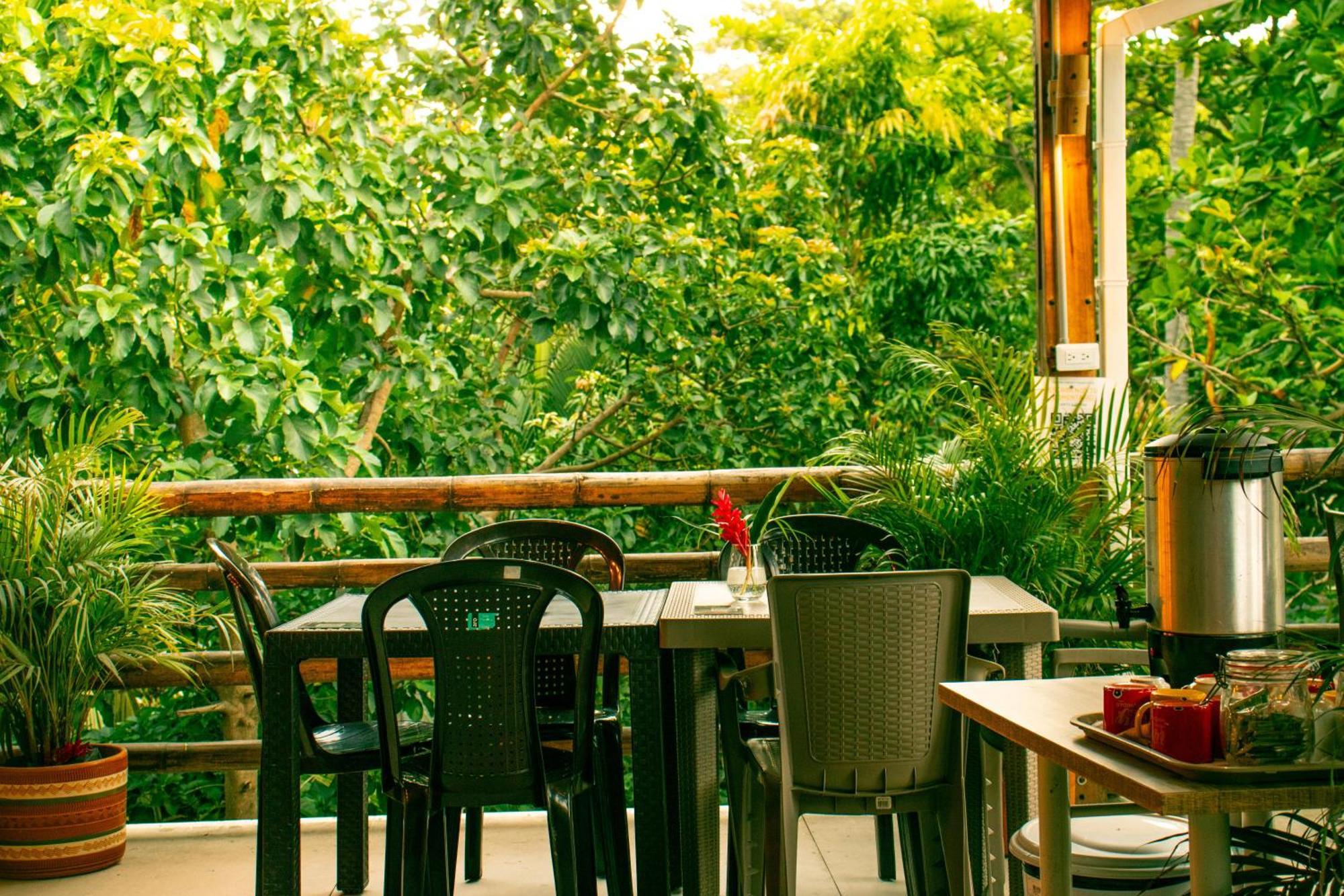 Tayrona Juancho'S House Hostel & Coworking Los Naranjos Buitenkant foto