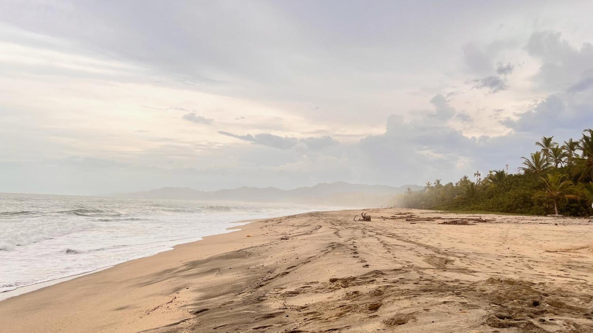 Tayrona Juancho'S House Hostel & Coworking Los Naranjos Buitenkant foto